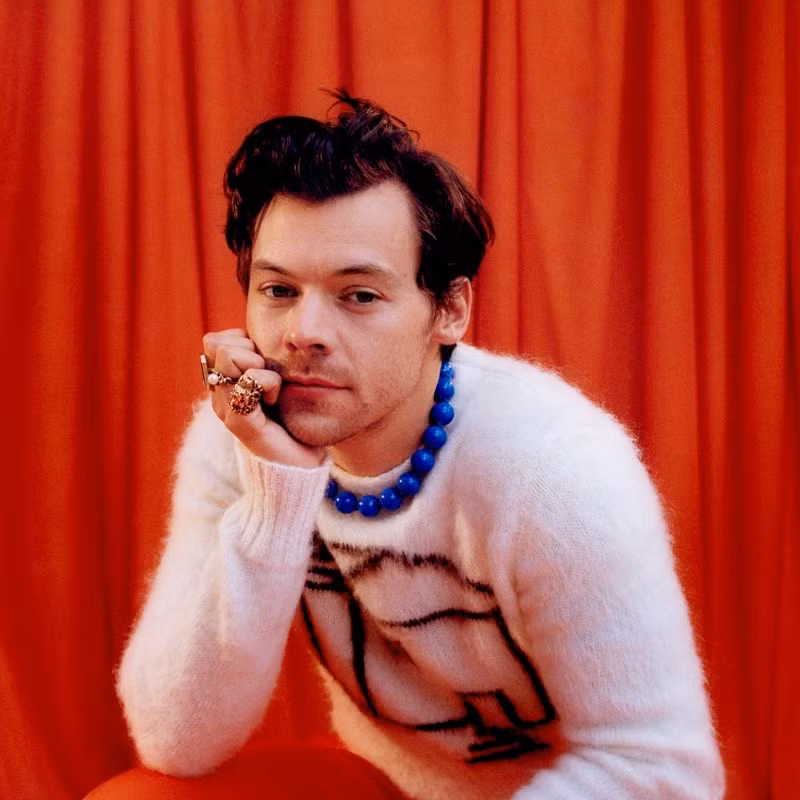 Harry Styles. Harry Styles.