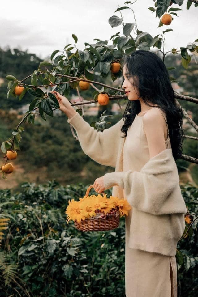 Ảnh: In The Forest.