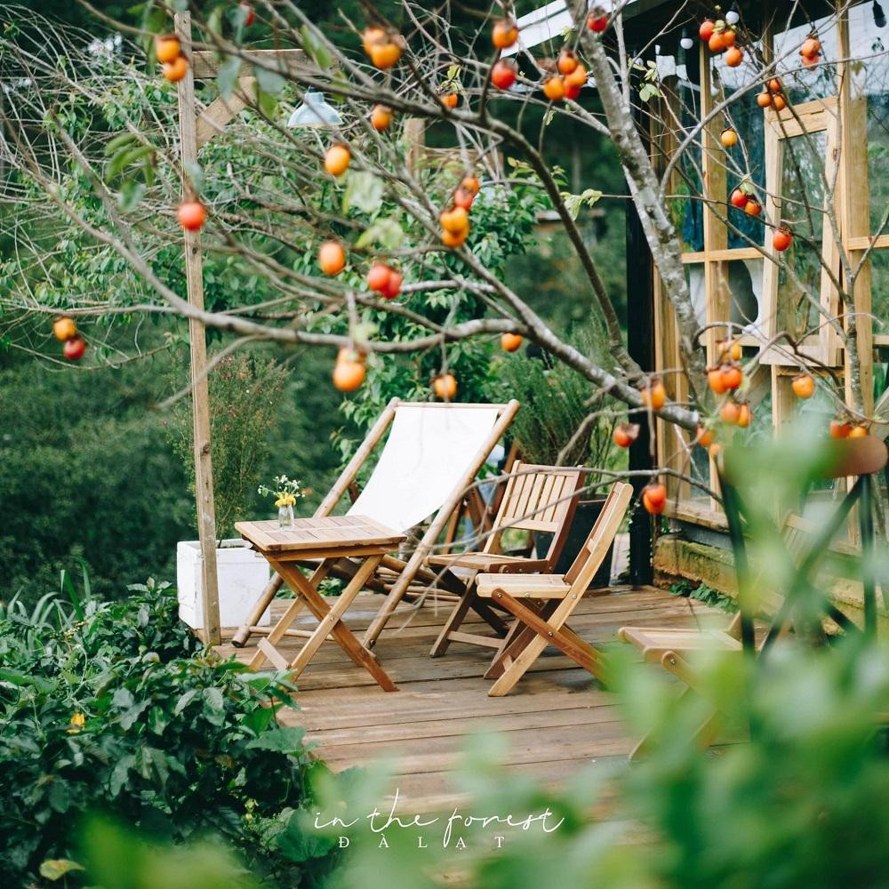 Ảnh: In The Forest.