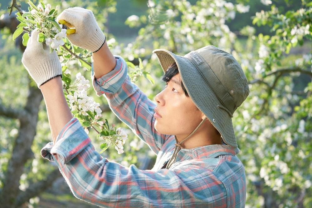 Cậu là người con trai đầu tiên dịu dàng với tớ. (Minh họa: Phim Little Forest)