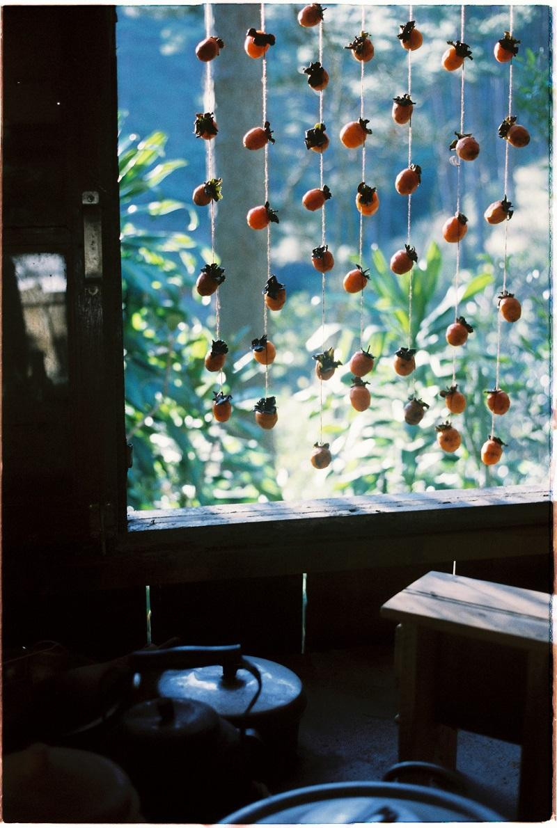 Mùa hồng ở Đương. (Ảnh: Page Quán Đương) Mùa hồng ở Đương. (Ảnh: Page Quán Đương)