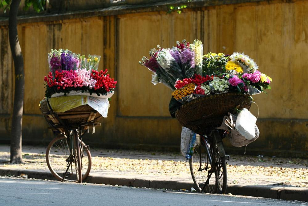 Những xe hoa trên đường phố Hà Nội luôn mang lại cảm giác bình yên. Những xe hoa trên đường phố Hà Nội luôn mang lại cảm giác bình yên.