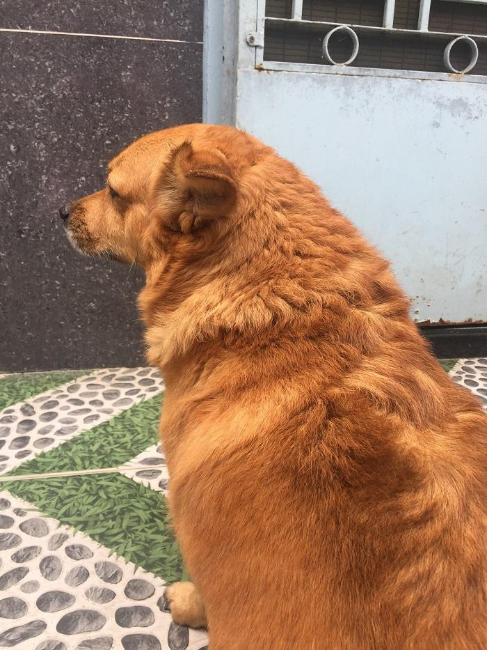 Không cho tui ăn trái cây là "hổng" có thương tui rồi... Không cho tui ăn trái cây là "hổng" có thương tui rồi...