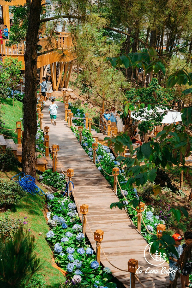 Ảnh: La Luna Coffee. Ảnh: La Luna Coffee.