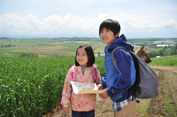 Ảnh minh họa: Phim A Tale Ululu's Wonder Forest. Ảnh minh họa: Phim A Tale Ululu's Wonder Forest.