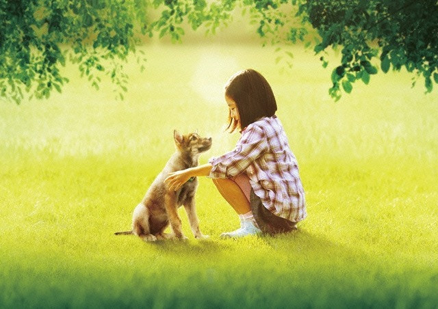 Ảnh minh họa: Phim A Tale Ululu's Wonder Forest. Ảnh minh họa: Phim A Tale Ululu's Wonder Forest.