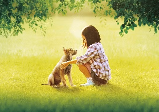 Ảnh minh họa: Phim A Tale Ululu's Wonder Forest.