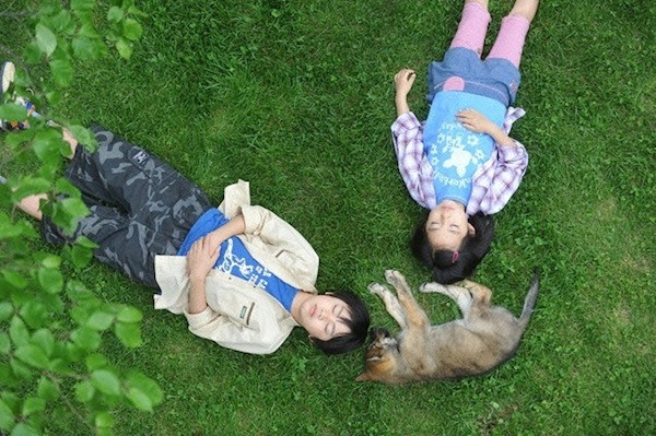 Ảnh minh họa: Phim A Tale Ululu's Wonder Forest. Ảnh minh họa: Phim A Tale Ululu's Wonder Forest.