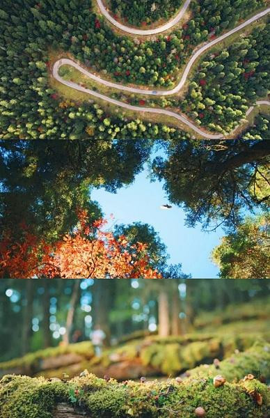 Phim đầu tư quay ngoại cảnh chỉn chu, trau chuốt. Phim đầu tư quay ngoại cảnh chỉn chu, trau chuốt.