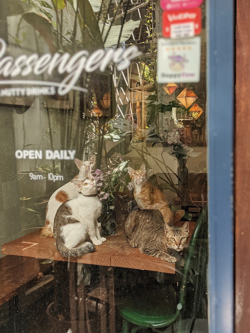 Ảnh: Passengers - fruity & nutty drinks. Ảnh: Passengers - fruity & nutty drinks.