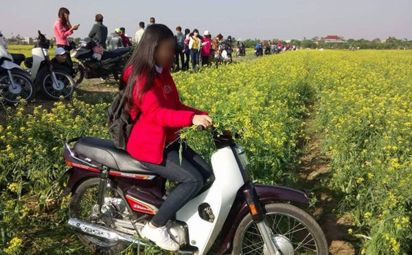 Thực hư phượt thủ phi xe lên hàng ngàn con bướm để quay clip gây bão mạng ảnh 8