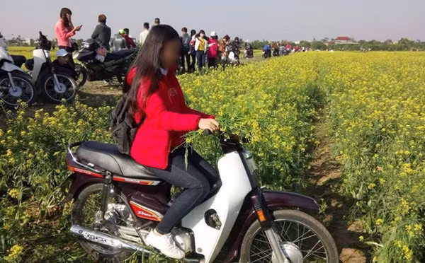 Thực hư phượt thủ phi xe lên hàng ngàn con bướm để quay clip gây bão mạng ảnh 8