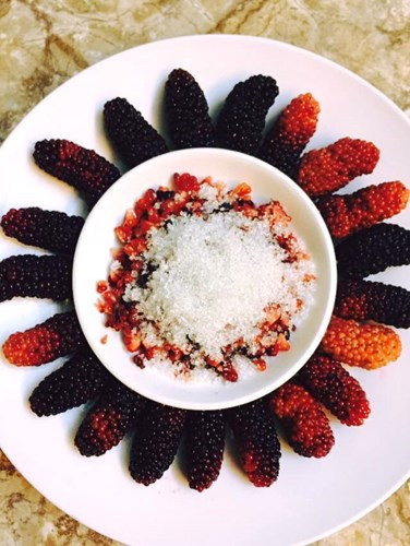 Đổi vị ngày chớm hè với sữa chua dâu tằm thanh mát ảnh 1