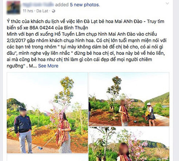 Thực hư phượt thủ phi xe lên hàng ngàn con bướm để quay clip gây bão mạng ảnh 2