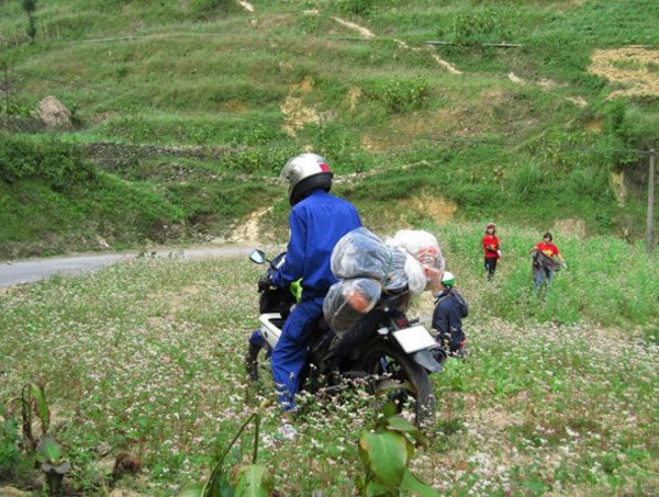 Thực hư phượt thủ phi xe lên hàng ngàn con bướm để quay clip gây bão mạng ảnh 5