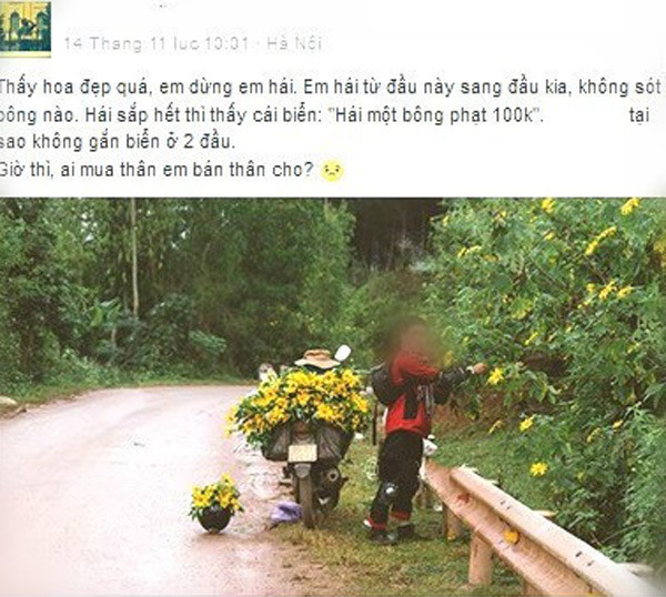 Thực hư phượt thủ phi xe lên hàng ngàn con bướm để quay clip gây bão mạng ảnh 4