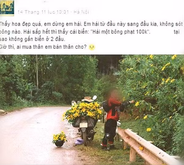 Thực hư phượt thủ phi xe lên hàng ngàn con bướm để quay clip gây bão mạng ảnh 4
