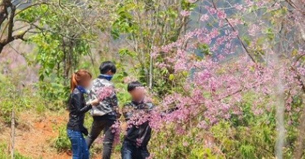 Thực hư phượt thủ phi xe lên hàng ngàn con bướm để quay clip gây bão mạng ảnh 9