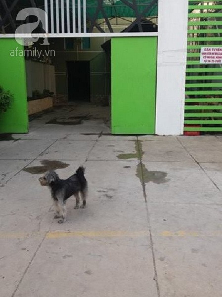 Lấy facebook đăng tìm thân nhân cho người phụ nữ mất vì ung thư ảnh 2