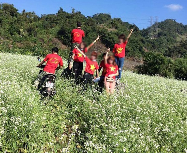 Thực hư phượt thủ phi xe lên hàng ngàn con bướm để quay clip gây bão mạng ảnh 6