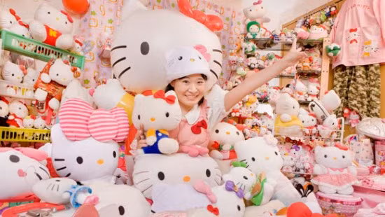 Hơn 4.500 chú mèo bông Hello Kitty trong bộ sưu tập của cô. Hơn 4.500 chú mèo bông Hello Kitty trong bộ sưu tập của cô