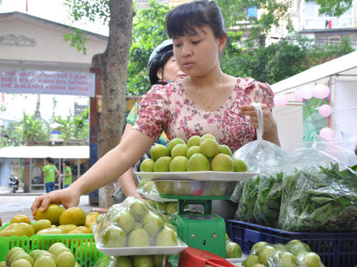 Người dân chọn mua rau hữu cơ trong các gian hàng tại ngày hội 