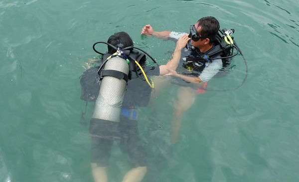 1, 2, 3 bắt đầu