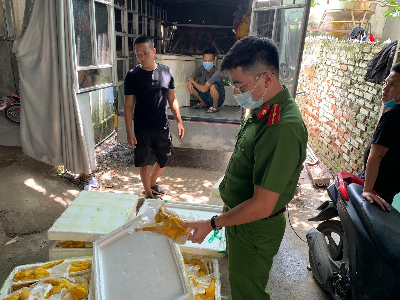 Số lượng lớn gà ủ muối tiêu không rõ nguồn gốc bị thu giữ.