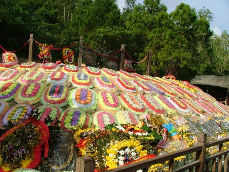 Dòng người tấp nập viếng mộ Đại tướng Võ Nguyên Giáp ảnh 5