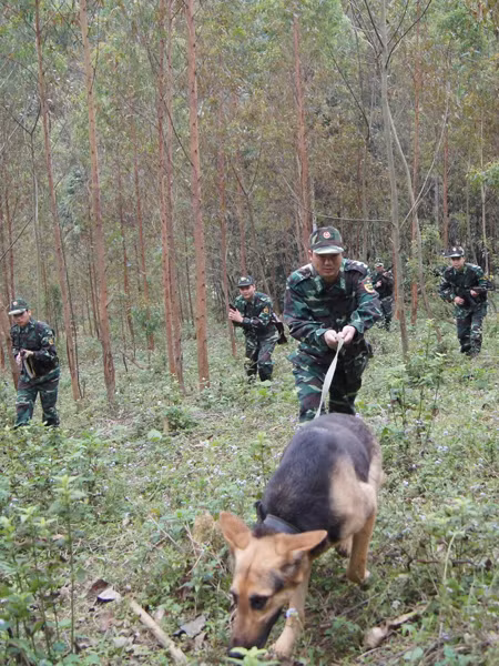 Tổ đánh án đồn Bình Nghi lên đường truy bắt tội phạm ma túy