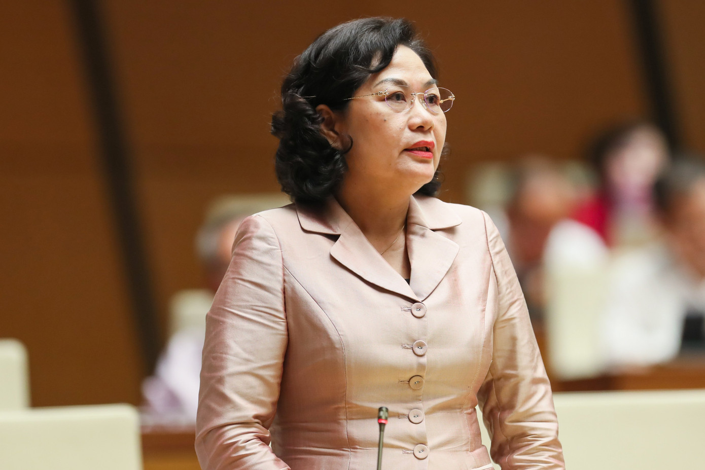 Bà Nguyễn Thị Hồng - Thống đốc Ngân hàng Nhà nước Việt Nam. Ảnh Như Ý