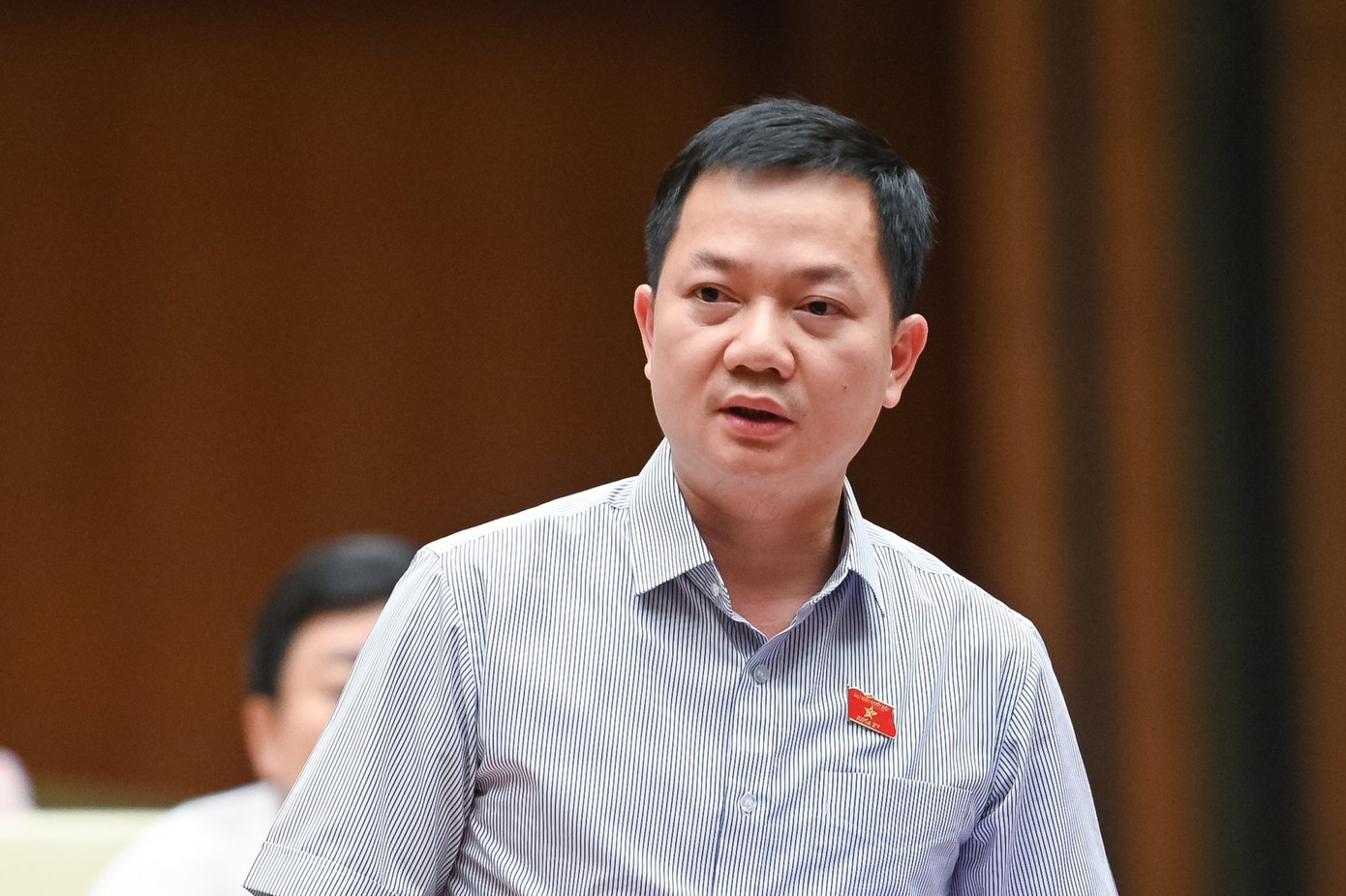 Đại biểu Trịnh Xuân An (Đồng Nai). Ảnh: QH