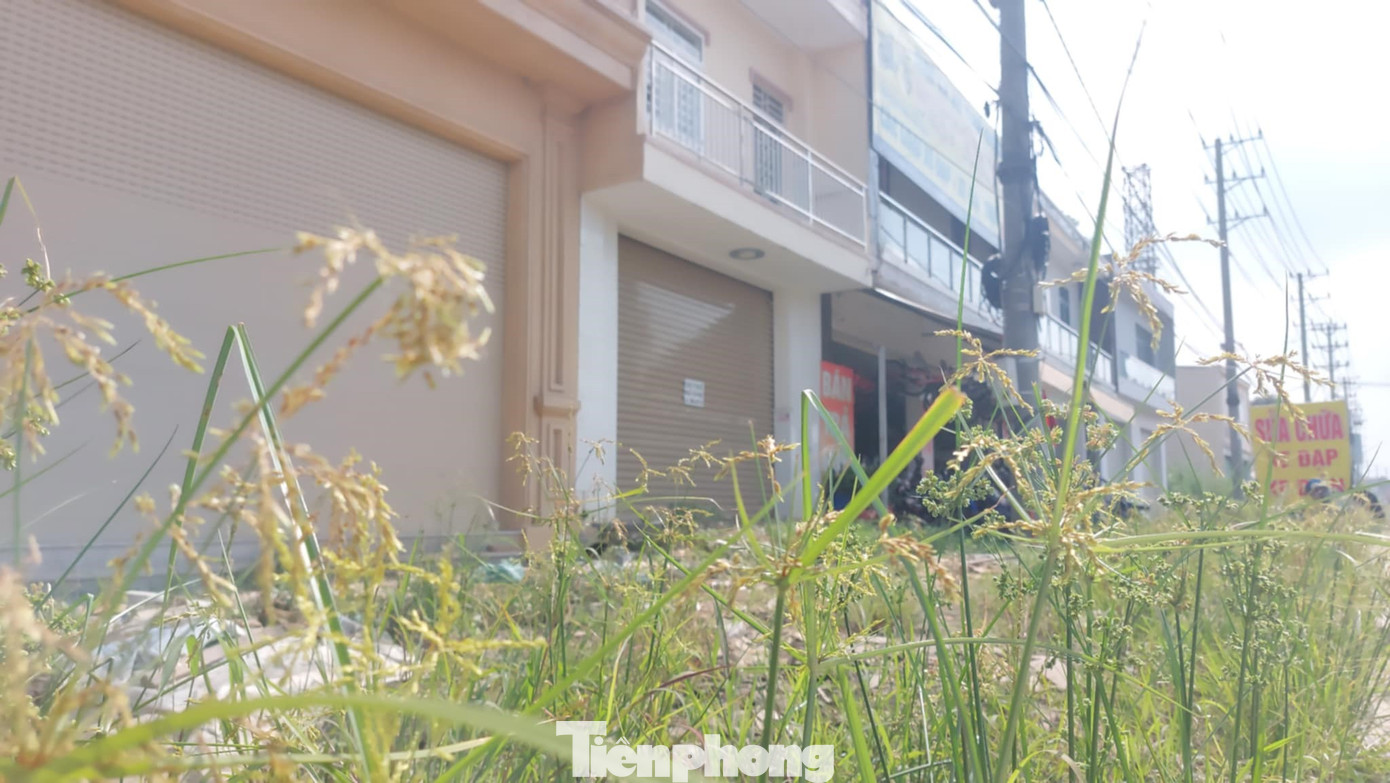 Đoạn qua TP. Thuận An đã chi trả tiền bồi thường, hỗ trợ đối với 462 hộ, cá nhân và 30 tổ chức, bàn giao mặt bằng đạt 80%. Hiện có khoảng 13 hộ, cá nhân và 7 tổ chức đang sửa chữa nhà, công trình xây dựng, dự kiến sẽ bàn giao mặt bằng trong tháng 11 này. Đoạn qua TP. Thuận An đã chi trả tiền bồi thường, hỗ trợ đối với 462 hộ, cá nhân và 30 tổ chức, bàn giao mặt bằng đạt 80%. Hiện có khoảng 13 hộ, cá nhân và 7 tổ chức đang sửa chữa nhà, công trình xây dựng, dự kiến sẽ bàn giao mặt bằng trong tháng 11 này.