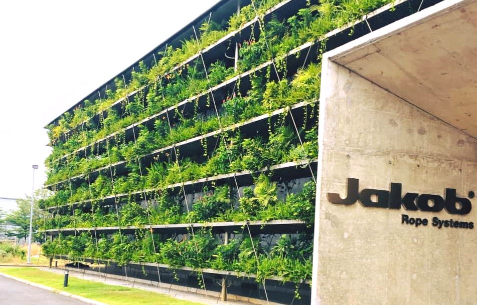 Mảng xanh được trồng bao quanh công ty.