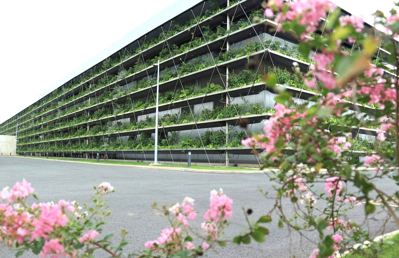 Khung cảnh bình yên tại nhà máy công ty.