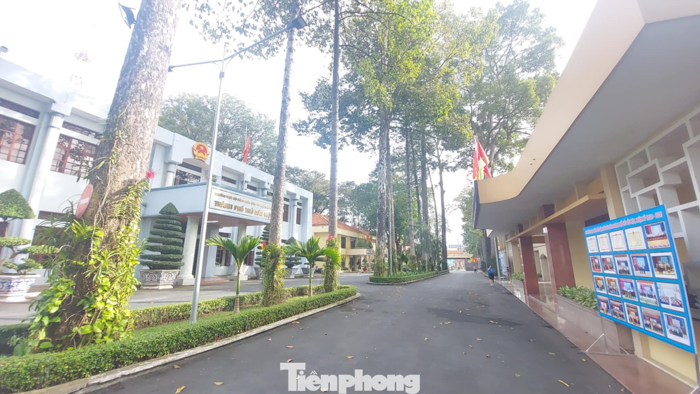 Ngày 28/11, phóng viên báo Tiền Phong có mặt tại khuôn viên Trung tâm hành chính TP.Thủ Dầu Một, chứng kiến một khung cảnh đầy lãng mạn khi những hàng cây cổ thụ trăm năm tuổi vào mùa thay lá.