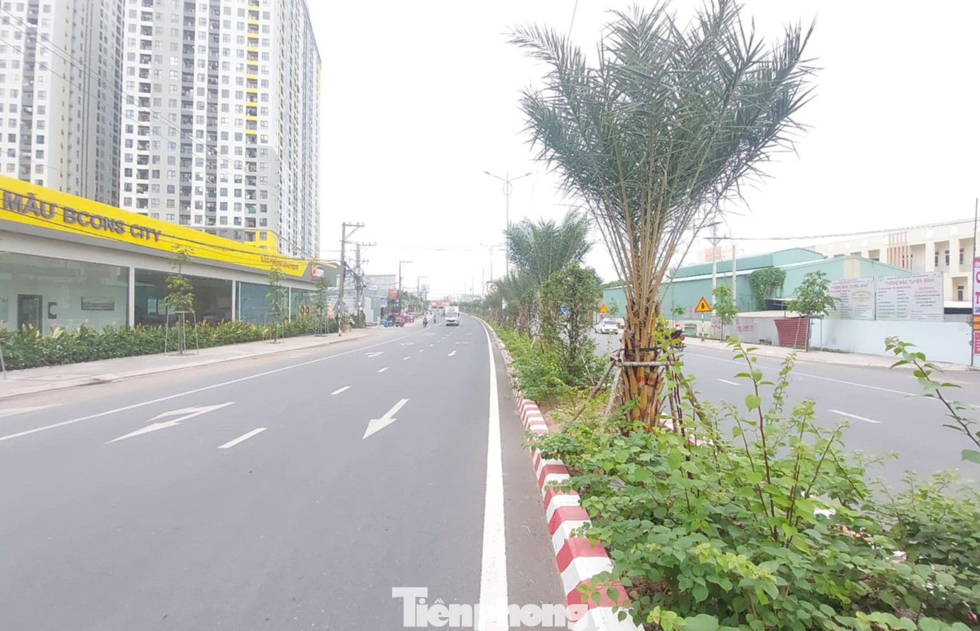 Đại diện UBND TP.Dĩ An (Bình Dương) cho biết, với 6 làn xe và chiều dài hơn 3km, đường Trục chính Đông-Tây đóng vai trò quan trọng, kết nối giữa tỉnh Bình Dương với Bến xe Miền Đông mới TPHCM, giúp người dân hai địa phương đi lại thuận lợi.