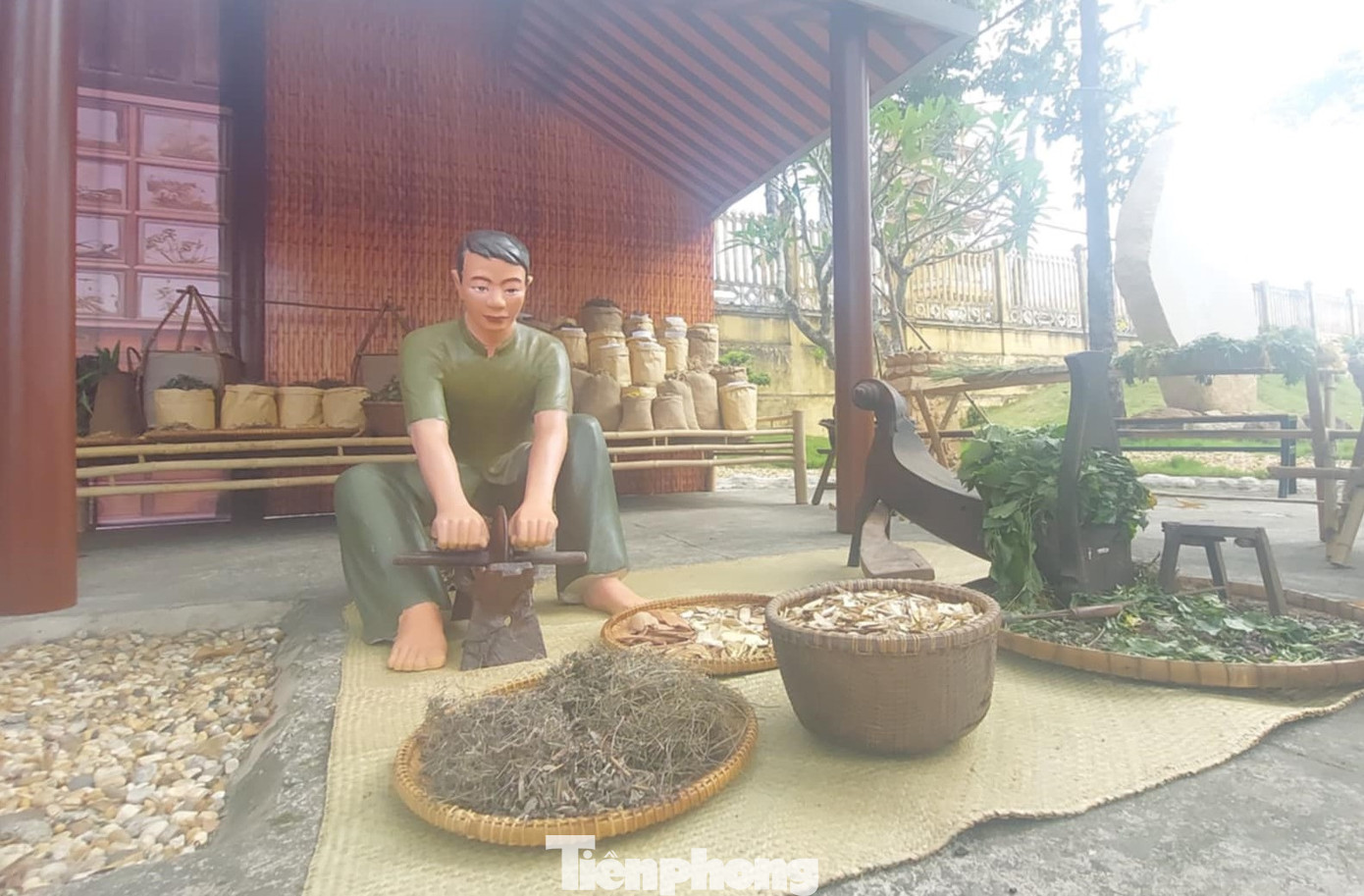 Trong thời gian ở tại chùa Hội Khánh, cụ Phó bảng Nguyễn Sinh Sắc đi đến các vùng lân cận để truyền bá Hội Danh dự yêu nước, đàm đạo về Y thuật, Phật học… Những hoạt động yêu nước, tấm lòng nhân hậu, thương người của cụ Phó bảng đã để lại những ấn tượng tốt đẹp trong lòng người dân nơi đây.