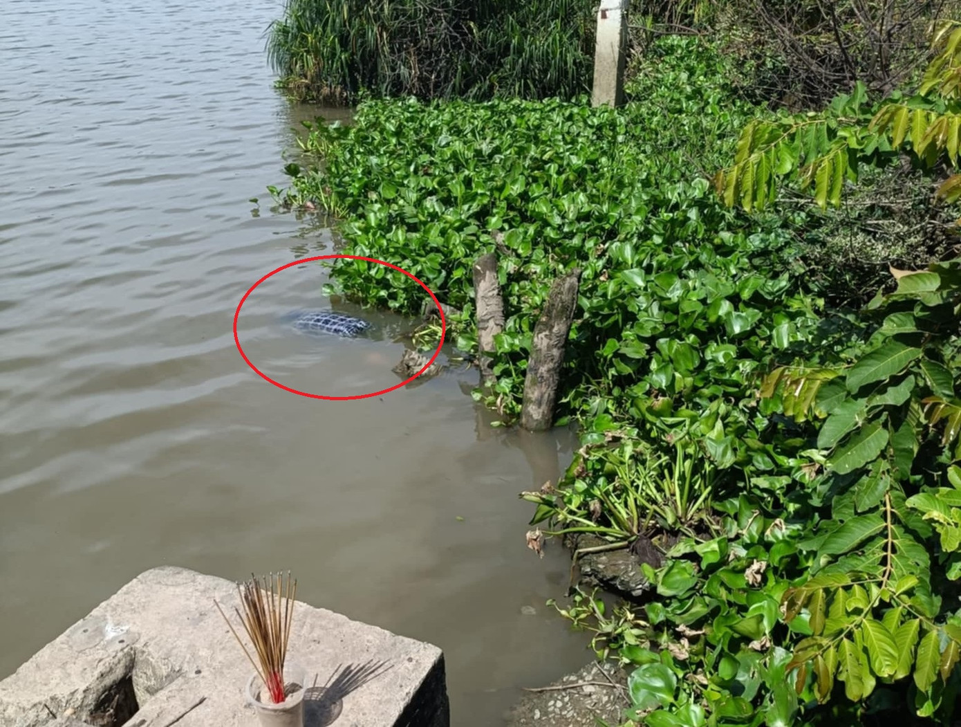 Thi thể nữ giới trôi trên sông Sài Gòn. Thi thể nữ giới trôi trên sông Sài Gòn.