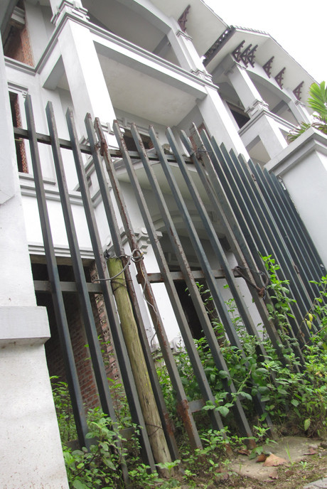 Cây cối rậm rạp ở những ngôi nhà có chủ nhưng không có người ở 