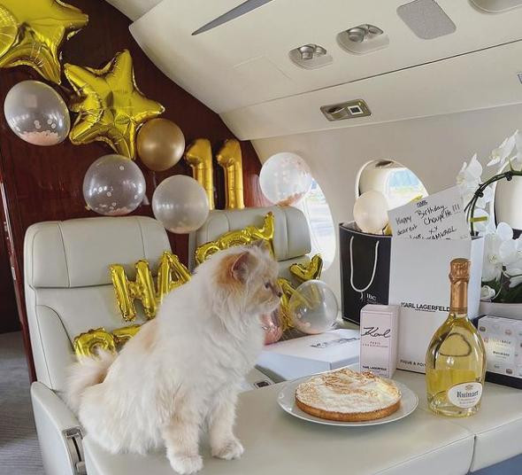 Tiệc sinh nhật lần thứ 11 của Choupette được tổ chức trên chuyên cơ riêng.