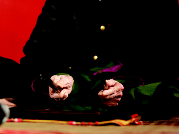 “Ca trù rất sâu, có nhiều làn điệu, hay còn gọi là thể cách. Có nhà nghiên cứu cho rằng, Ca trù có 90 thể cách, lại có ý kiến là 30 thể cách… Nhưng chúng ta chưa thể kiểm định được cụ thê là bao nhiêu. Liên hoan lần này là dịp để chúng tôi kiểm kê xem mỗi câu lạc bộ, mỗi giáo phường ở Hà Nội giữ được bao nhiêu thể cách”, Giáo sư-Tiến sỹ Khoa học Tô Ngọc Thanh, Chủ tịch Hội Văn nghệ Dân gian Việt Nam chia sẻ