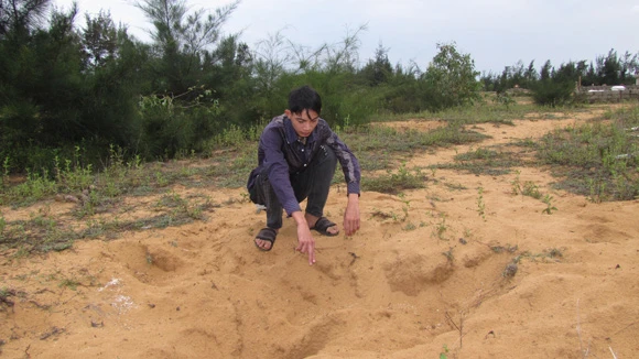 Bùi Tuấn Anh bên cái hố đất bị nhóm thanh niên đem chôn sống 