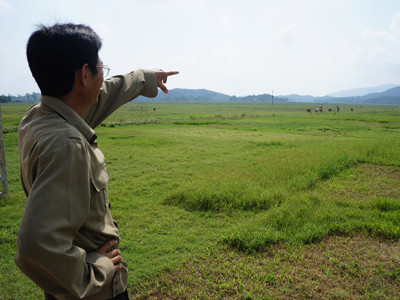 Người dân xã Sơn Diệm (Hà Tĩnh) đau lòng trước cánh đồng bỏ hoang 