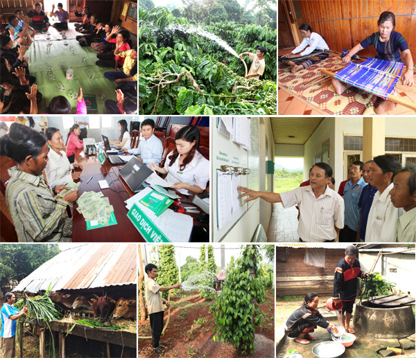 Tín dụng chính sách vùng Tây Nguyên đã thành công ảnh 7