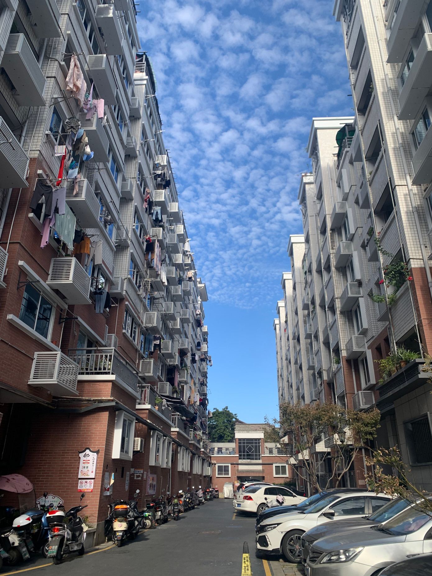 Các tòa chung cư trong khu dân cư bình dân Jia He Yuan ở Phúc Châu. Ảnh: Linh Nhi. Các tòa chung cư trong khu dân cư bình dân Jia He Yuan ở Phúc Châu. Ảnh: Linh Nhi.