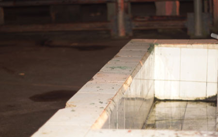 Hiện trường nơi con voi quật anh Tài vào hồ nước