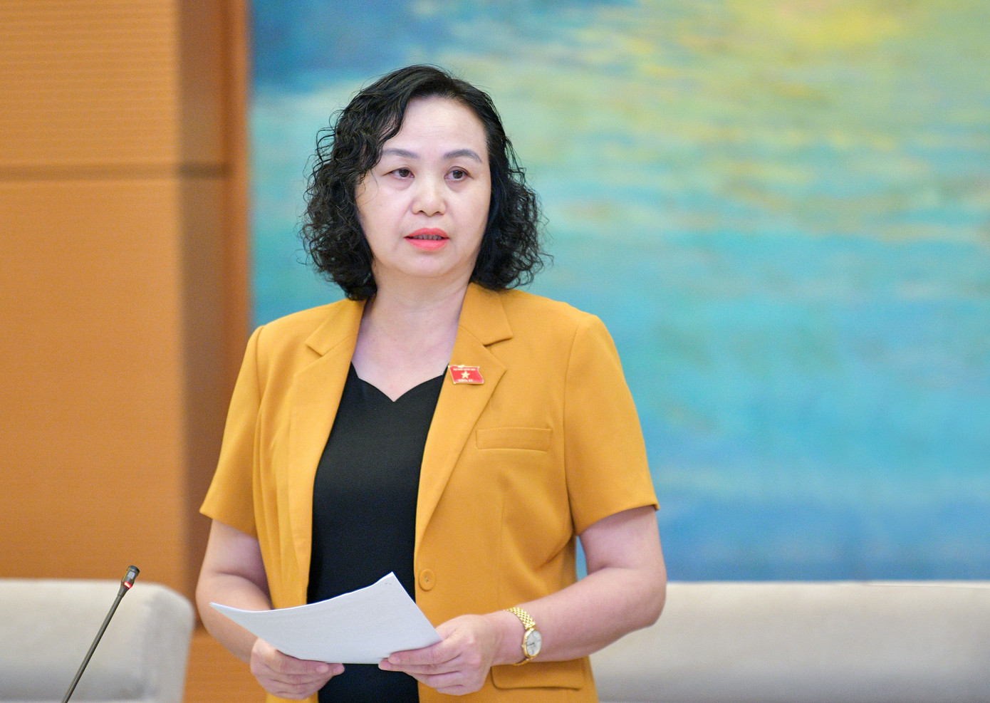 Phó Chủ tịch Hội đồng Dân tộc của Quốc hội Cao Thị Xuân Phó Chủ tịch Hội đồng Dân tộc của Quốc hội Cao Thị Xuân