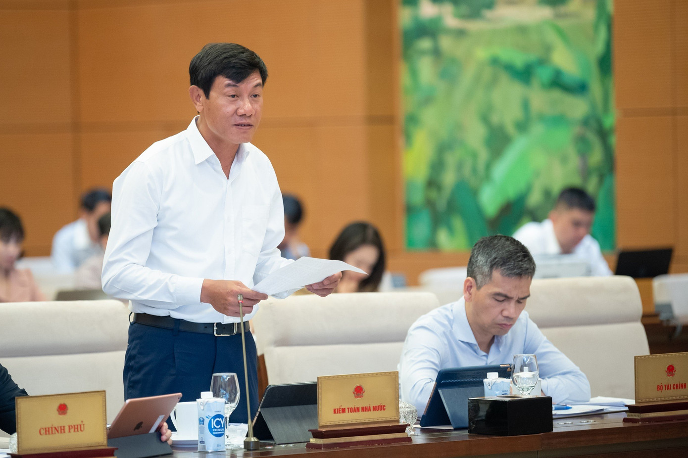 Phó Tổng Kiểm toán Nhà nước Doãn Anh Thơ Phó Tổng Kiểm toán Nhà nước Doãn Anh Thơ