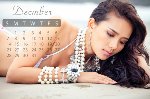 Phan Như Thảo mặc bikini gợi cảm trong bộ ảnh lịch ảnh 13